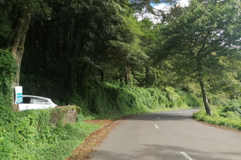 Helårsgrund i Horta, Faial, Horta - € 80.000 | Ref: 1139 - foto 5
