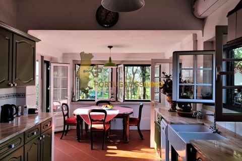 Villa i Tomar, Santarem, Tomar - € 525.000 | Ref: TAM_517 - foto 11