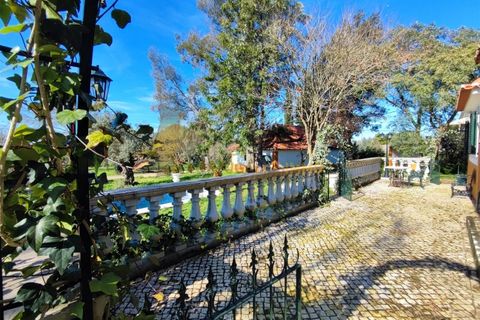 Villa i Tomar, Santarem, Tomar - € 525.000 | Ref: TAM_517 - foto 33