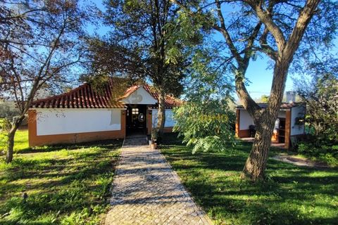 Villa i Tomar, Santarem, Tomar - € 525.000 | Ref: TAM_517 - foto 37