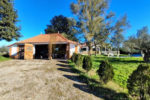 Villa i Tomar, Santarem, Tomar - € 525.000 | Ref: TAM_517 - foto 39