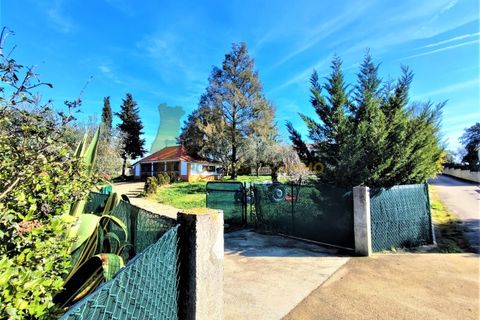 Villa i Tomar, Santarem, Tomar - € 525.000 | Ref: TAM_517 - foto 42