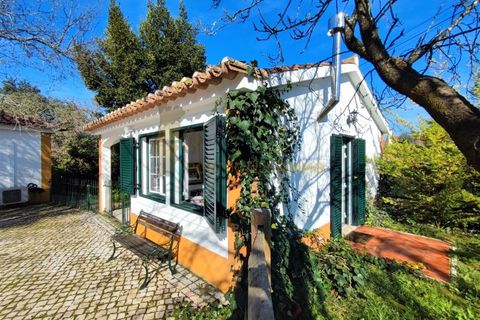 Villa i Tomar, Santarem, Tomar - € 525.000 | Ref: TAM_517 - foto 43