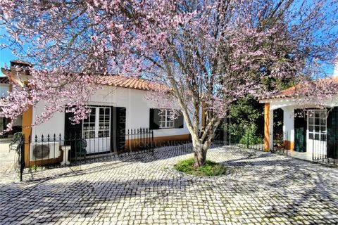 Villa i Tomar, Santarem, Tomar - € 525.000 | Ref: TAM_517 - foto 3