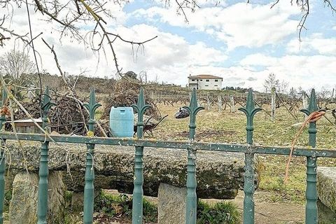 Helårsgrund i Chaves, Vila Real, Chaves - € 47.500 | Ref: 90925 - foto 5