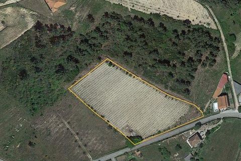 Helårsgrund i Chaves, Vila Real, Chaves - € 47.500 | Ref: 90925 - foto 9