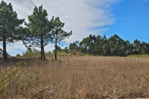 Helårsgrund i A dos Cunhados e Maceira, Lisbon, A dos Cunhados e Maceira - € 135.000 | Ref: SF-SAFTI:007326 - foto 3