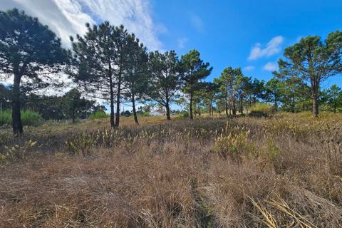 Helårsgrund i A dos Cunhados e Maceira, Lisbon, A dos Cunhados e Maceira - € 135.000 | Ref: SF-SAFTI:007326 - foto 8