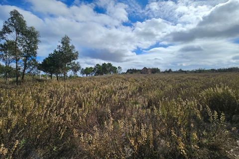 Helårsgrund i A dos Cunhados e Maceira, Lisbon, A dos Cunhados e Maceira - € 135.000 | Ref: SF-SAFTI:007326 - foto 9