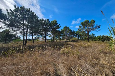 Helårsgrund i A dos Cunhados e Maceira, Lisbon, A dos Cunhados e Maceira - € 135.000 | Ref: SF-SAFTI:007326 - foto 10