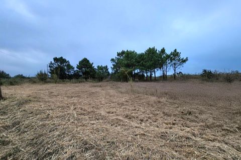 Helårsgrund i A dos Cunhados e Maceira, Lisbon, A dos Cunhados e Maceira - € 135.000 | Ref: SF-SAFTI:007326 - foto 14