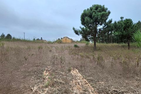 Helårsgrund i A dos Cunhados e Maceira, Lisbon, A dos Cunhados e Maceira - € 135.000 | Ref: SF-SAFTI:007326 - foto 16