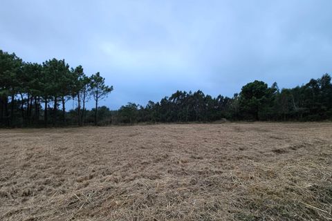 Helårsgrund i A dos Cunhados e Maceira, Lisbon, A dos Cunhados e Maceira - € 135.000 | Ref: SF-SAFTI:007326 - foto 18