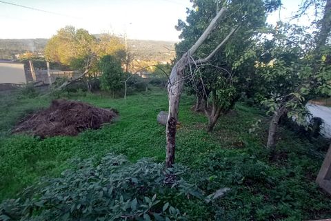 Villa i Bela, Viana do Castelo, Bela - € 50.000 | Ref: SF-SAFTI:007359 - foto 3