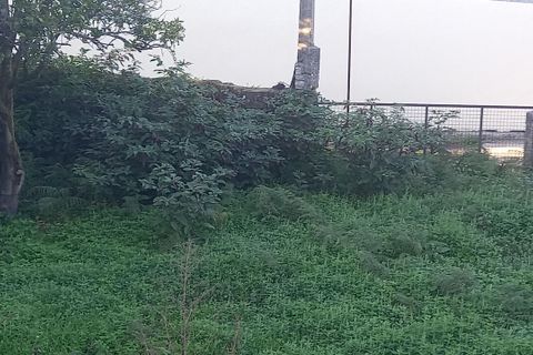 Villa i Bela, Viana do Castelo, Bela - € 50.000 | Ref: SF-SAFTI:007359 - foto 6
