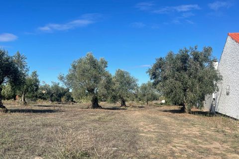 Helårsgrund i Tomar, Santarem, Tomar - € 35.000 | Ref: SF-SAFTI:007358 - foto 2
