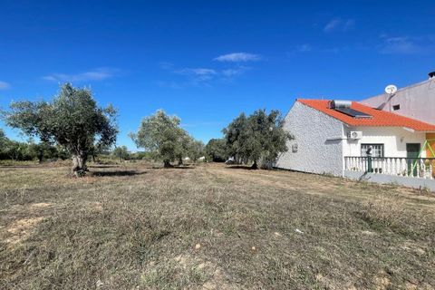 Helårsgrund i Tomar, Santarem, Tomar - € 35.000 | Ref: SF-SAFTI:007358 - foto 3