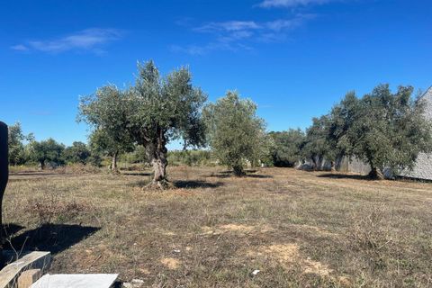 Helårsgrund i Tomar, Santarem, Tomar - € 35.000 | Ref: SF-SAFTI:007358 - foto 4