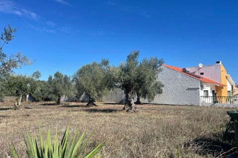 Helårsgrund i Tomar, Santarem, Tomar - € 35.000 | Ref: SF-SAFTI:007358 - foto 5