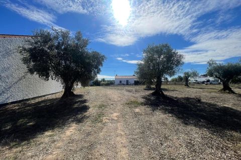 Helårsgrund i Tomar, Santarem, Tomar - € 35.000 | Ref: SF-SAFTI:007358 - foto 6