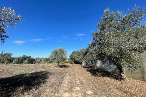 Helårsgrund i Tomar, Santarem, Tomar - € 35.000 | Ref: SF-SAFTI:007358 - foto 7