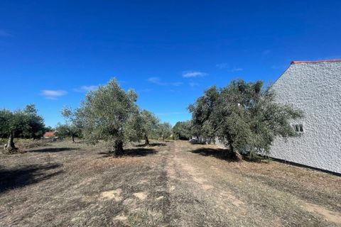 Helårsgrund i Tomar, Santarem, Tomar - € 35.000 | Ref: SF-SAFTI:007358 - foto 8