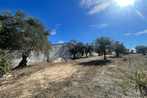 Helårsgrund i Tomar, Santarem, Tomar - € 35.000 | Ref: SF-SAFTI:007358 - foto 9