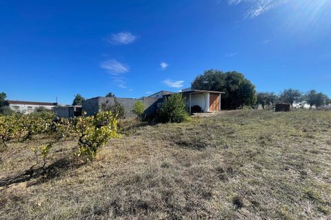 Helårsgrund i Tomar, Santarem, Tomar - € 35.000 | Ref: SF-SAFTI:007358 - foto 11