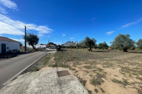 Helårsgrund i Tomar, Santarem, Tomar - € 35.000 | Ref: SF-SAFTI:007358 - foto 12