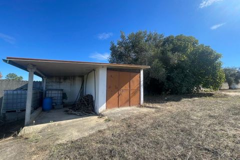 Helårsgrund i Tomar, Santarem, Tomar - € 35.000 | Ref: SF-SAFTI:007358 - foto 16