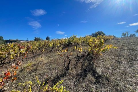 Helårsgrund i Tomar, Santarem, Tomar - € 35.000 | Ref: SF-SAFTI:007358 - foto 20