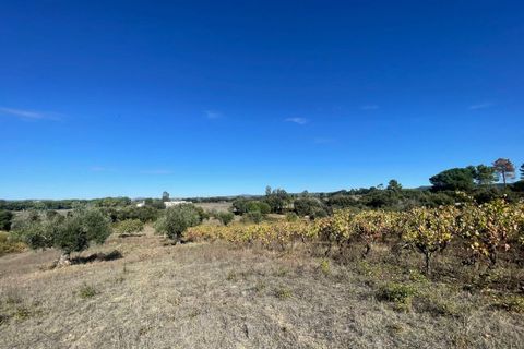 Helårsgrund i Tomar, Santarem, Tomar - € 35.000 | Ref: SF-SAFTI:007358 - foto 23