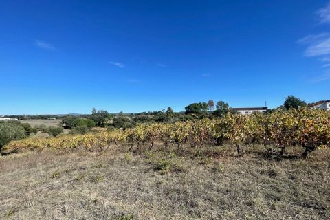 Helårsgrund i Tomar, Santarem, Tomar - € 35.000 | Ref: SF-SAFTI:007358 - foto 24