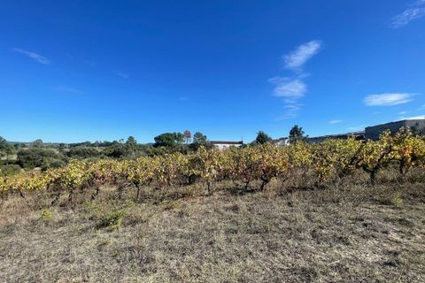Helårsgrund i Tomar, Santarem, Tomar - € 35.000 | Ref: SF-SAFTI:007358 - foto 25