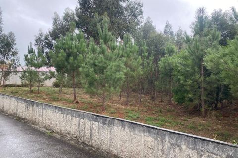 Terra a Bela, Viana do Castelo, Bela - € 56.000 | Ref: SF-SAFTI:007344 - foto 2