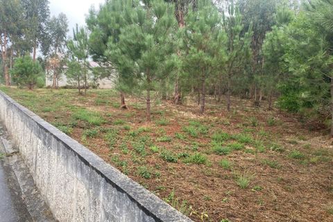 Terra a Bela, Viana do Castelo, Bela - € 56.000 | Ref: SF-SAFTI:007344 - foto 3