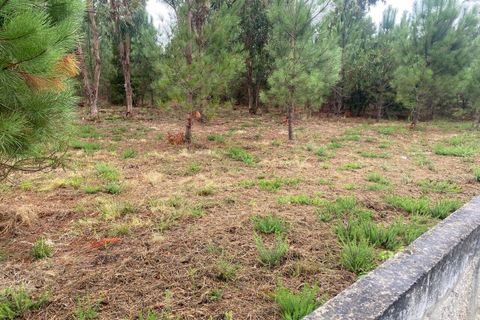 Terra a Bela, Viana do Castelo, Bela - € 56.000 | Ref: SF-SAFTI:007344 - foto 4