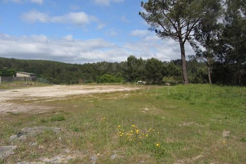 Tomt i Candemil e Gondar, Viana do Castelo, Candemil e Gondar - € 17 500 | Ref: UNU-F3-F3-1 - foto 3