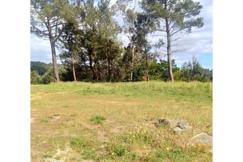 Tomt i Candemil e Gondar, Viana do Castelo, Candemil e Gondar - € 17 500 | Ref: UNU-F3-F3-1 - foto 4