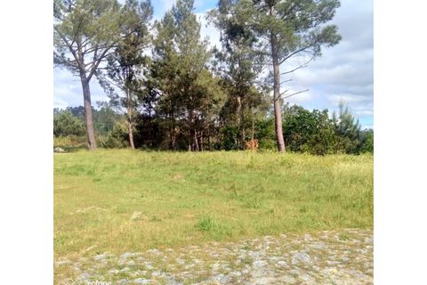 Tomt i Candemil e Gondar, Viana do Castelo, Candemil e Gondar - € 17 500 | Ref: UNU-F3-F3-1 - foto 5