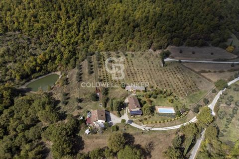 Landejendom i Cortona, Arezzo, Cortona - € 780.000 | Ref: CBI160-2553-145 - foto 20
