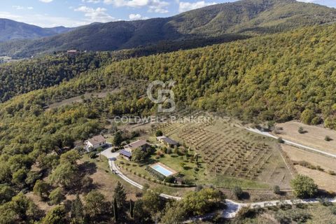 Landejendom i Cortona, Arezzo, Cortona - € 780.000 | Ref: CBI160-2553-145 - foto 21