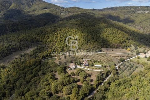 Landejendom i Cortona, Arezzo, Cortona - € 780.000 | Ref: CBI160-2553-145 - foto 22