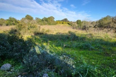 Lejlighed i Silves, Faro, Silves - € 35.000 | Ref: 337 - foto 3