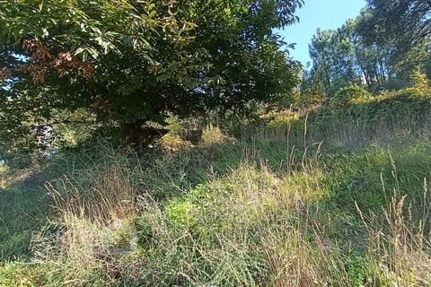 Tomt i Gamil e Midoes, Braga, Gamil e Midoes - € 195 000 | Ref: 249/25 - foto 4