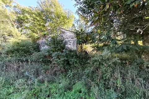 Tomt i Gamil e Midoes, Braga, Gamil e Midoes - € 195 000 | Ref: 249/25 - foto 5