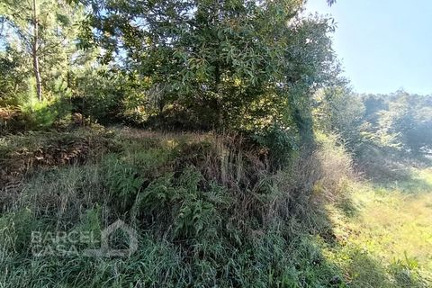 Tomt i Gamil e Midoes, Braga, Gamil e Midoes - € 195 000 | Ref: 249/25 - foto 6