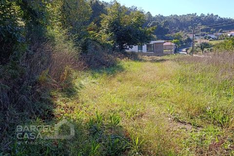 Tomt i Gamil e Midoes, Braga, Gamil e Midoes - € 195 000 | Ref: 249/25 - foto 8