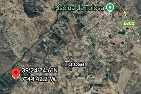 Tomt i Nisa, Portalegre, Nisa - € 37 500 | Ref: AR/04851 - foto 7