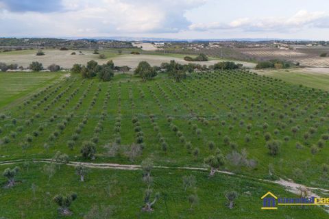Helårsgrund i Noto, Siracusa, Noto - € 280.000 | Ref: AGLIASTRO 1 - foto 2